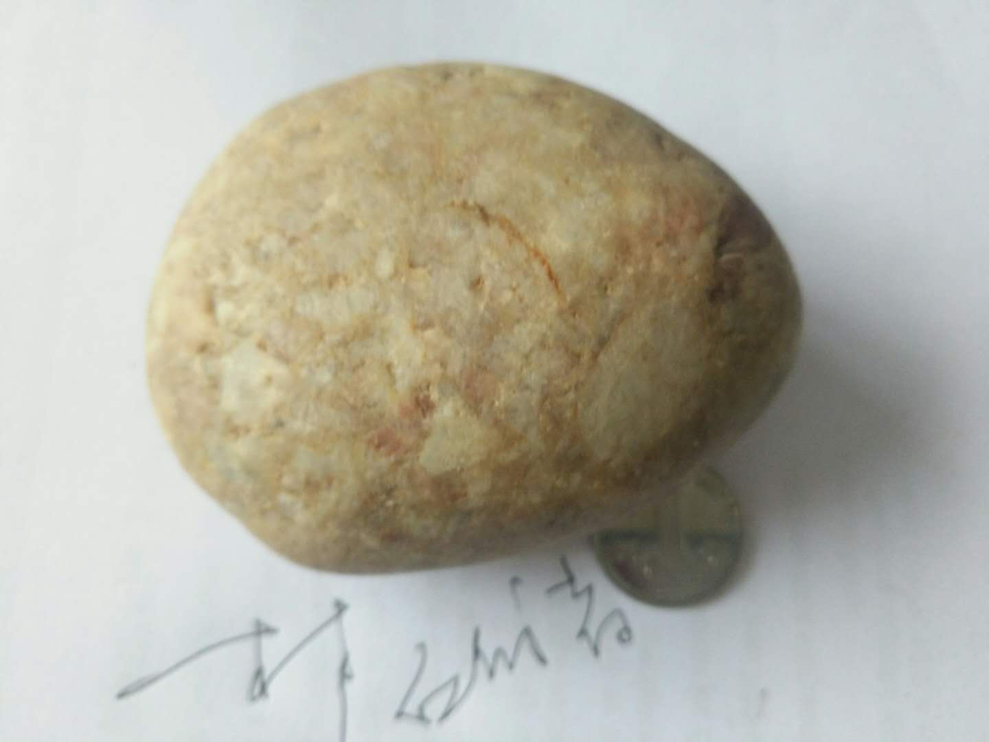微信图片_20190416082304.jpg