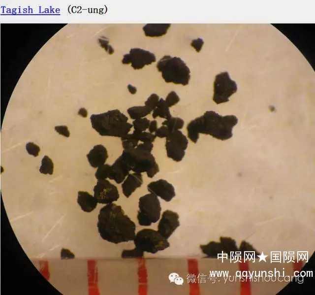 640.webp (10)_副本.jpg