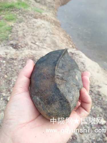 IMG20190514070337.jpg