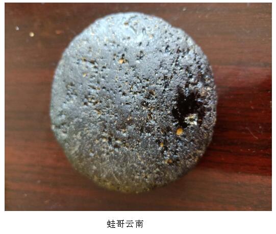 蛙哥云南1.jpg