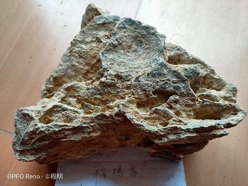 IMG20190809124919.jpg