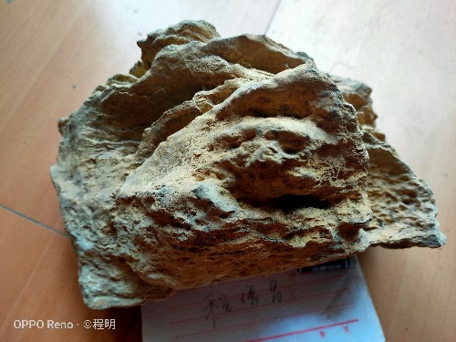 IMG20190809124829.jpg