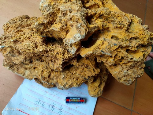 IMG20190809130909.jpg