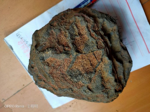 IMG20190809153659.jpg