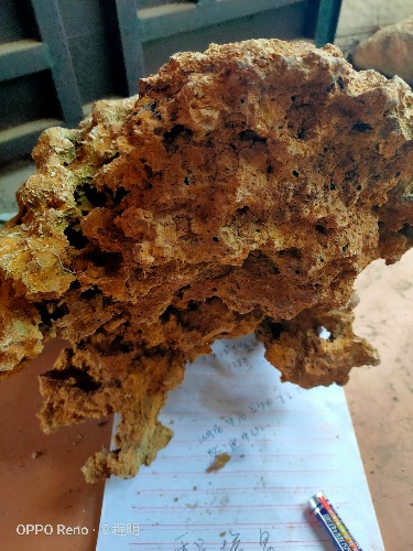 IMG20190809154254.jpg