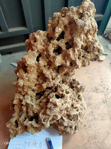 IMG20190809154222.jpg