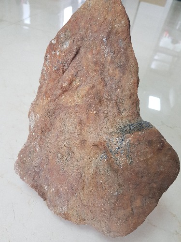 20190812_104055.jpg