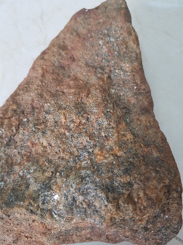 20190812_104129.jpg