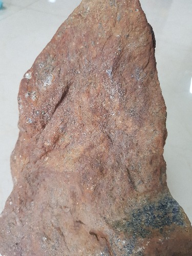 20190812_104102.jpg