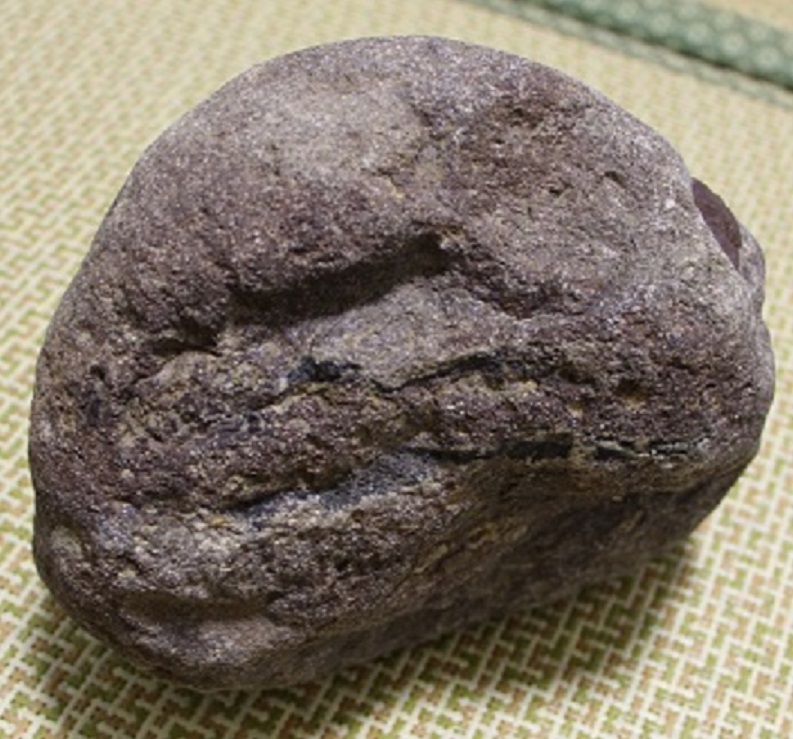 有气印 棕褐色熔壳