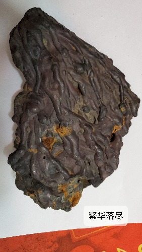 20191011_141853.jpg