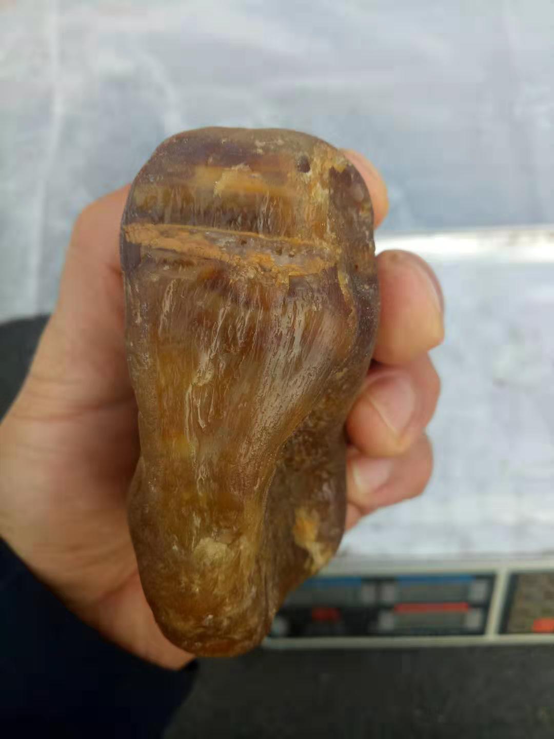 微信图片_20191011200800.jpg