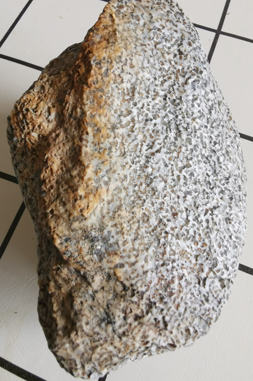 113.jpg