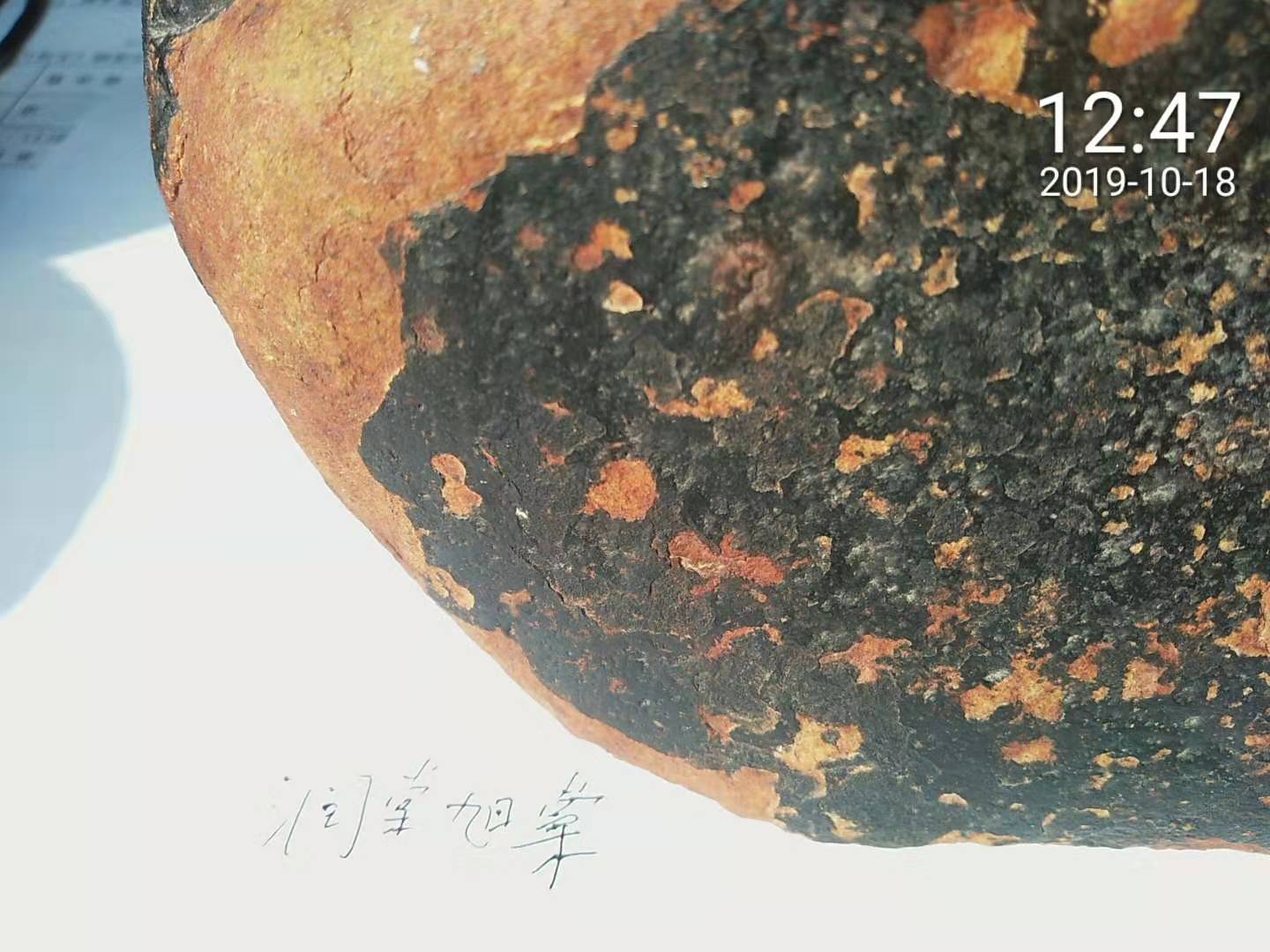 微信图片_20191018125027.jpg