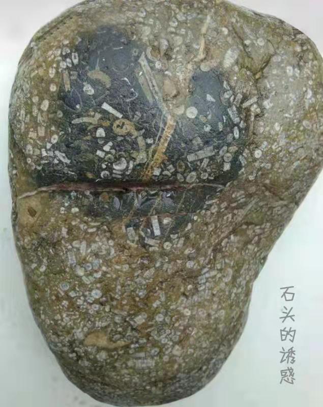 微信图片_20191024111531.jpg