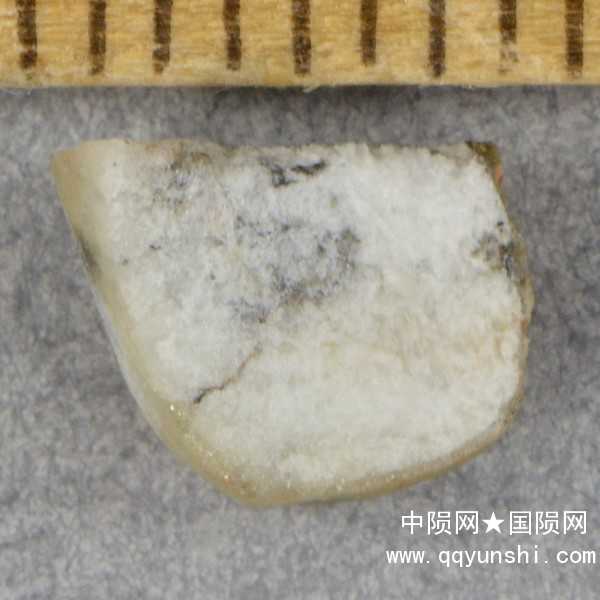 lm_nwa11061_clast_3448m.jpg