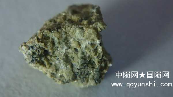 68491_37271_3298.jpg