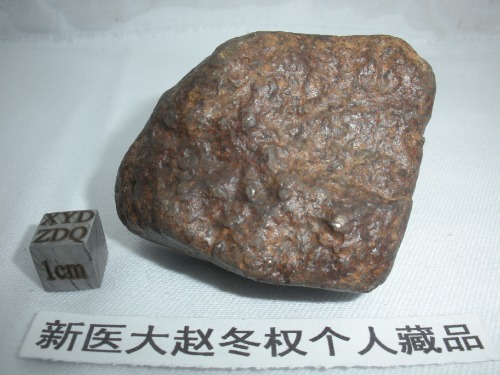 DSCN5335.JPG