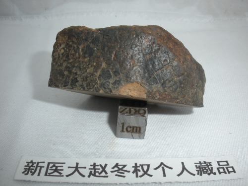 DSCN5334.JPG