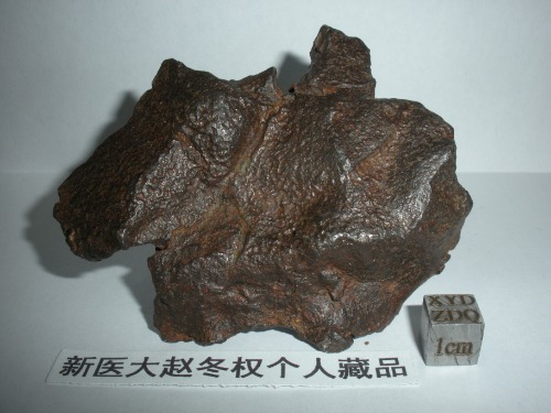 DSCN0007.JPG