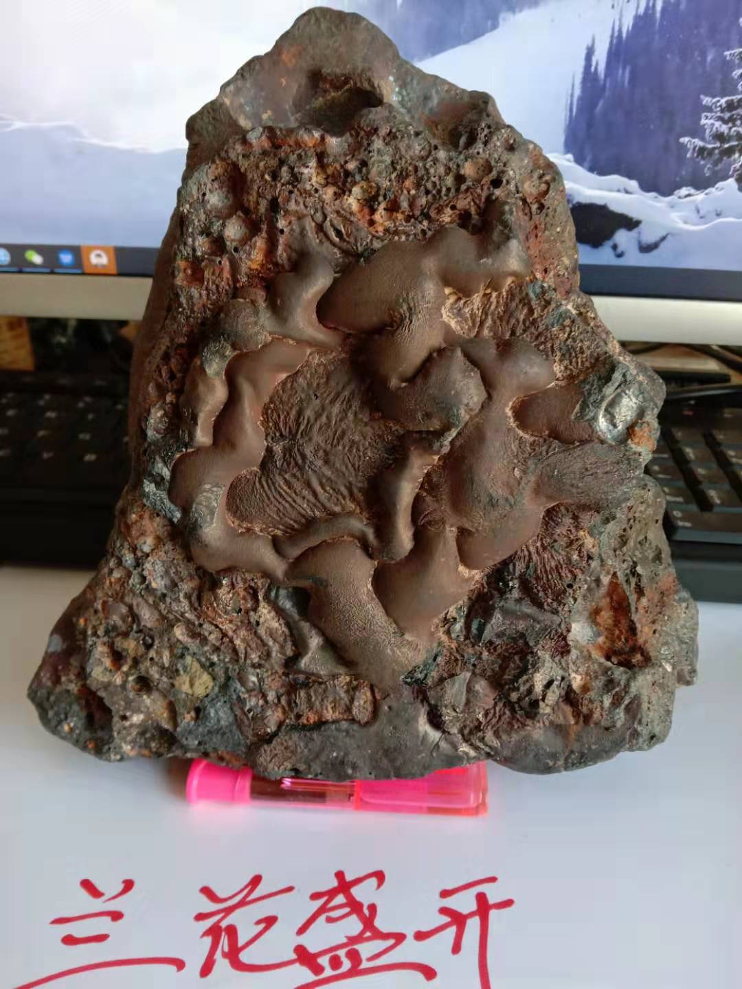 微信图片_20191207134936.jpg