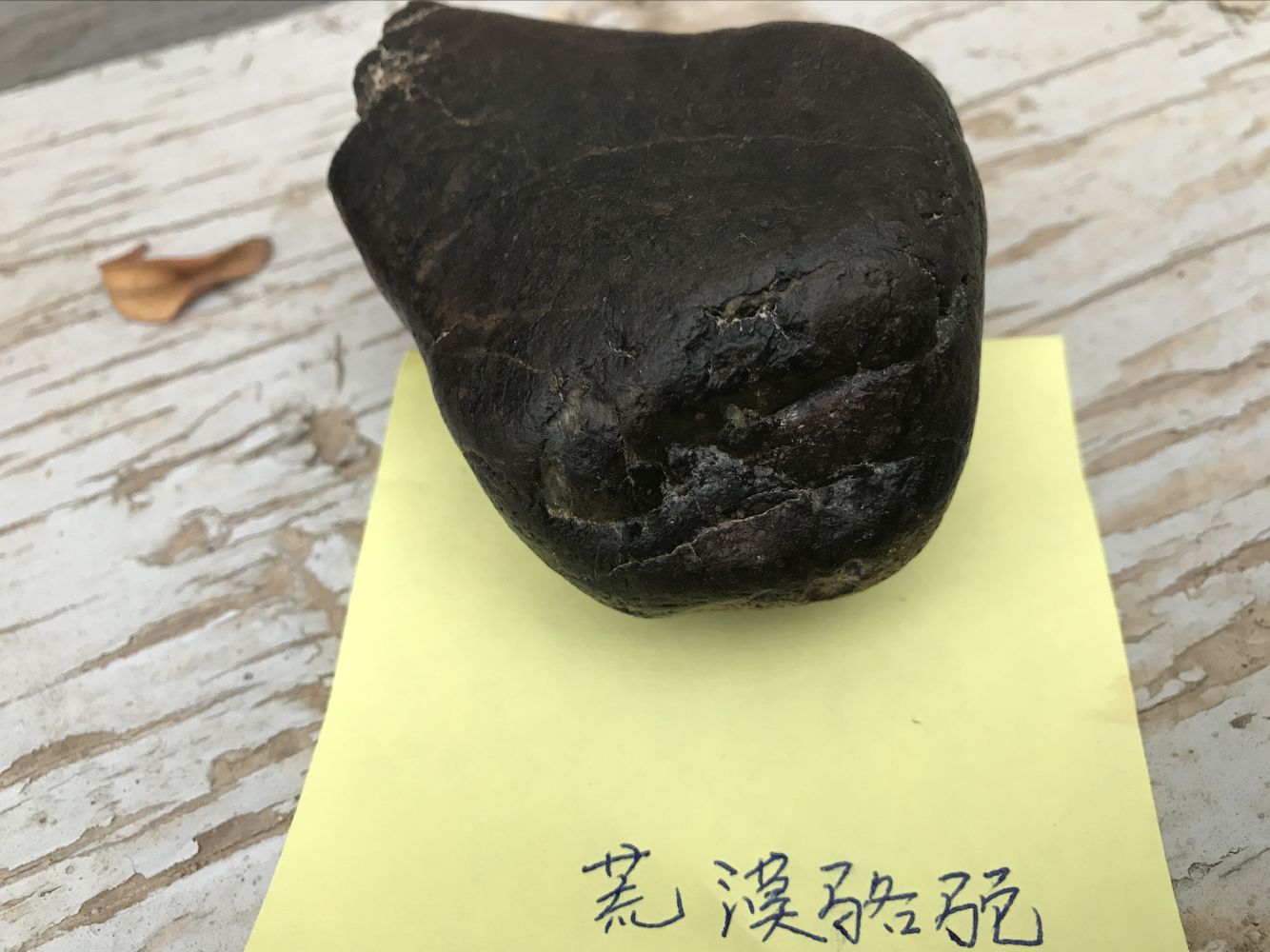 QQ图片20200109065054.jpg