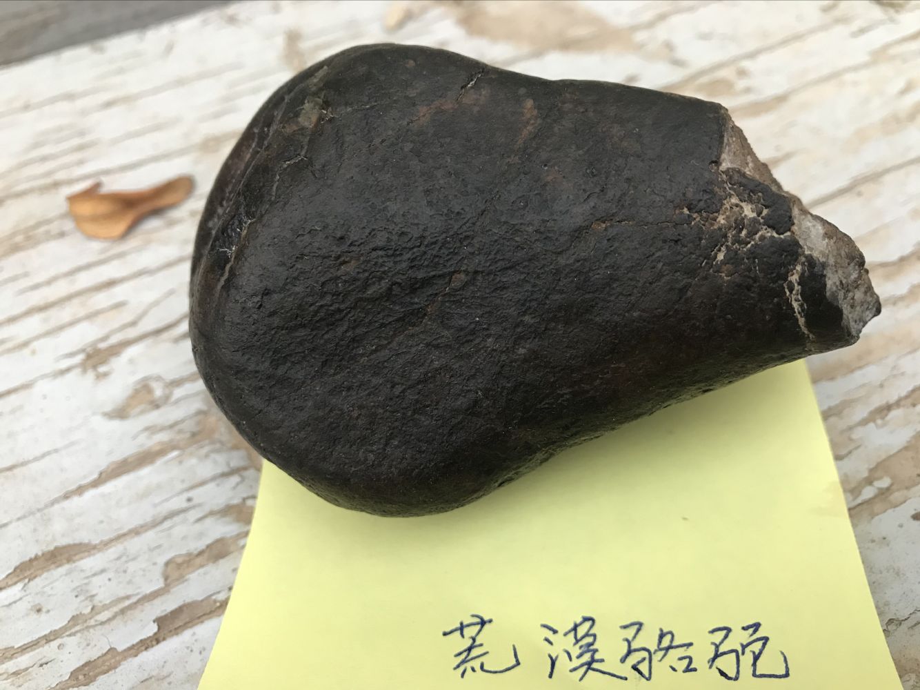 QQ图片20200109065101.jpg