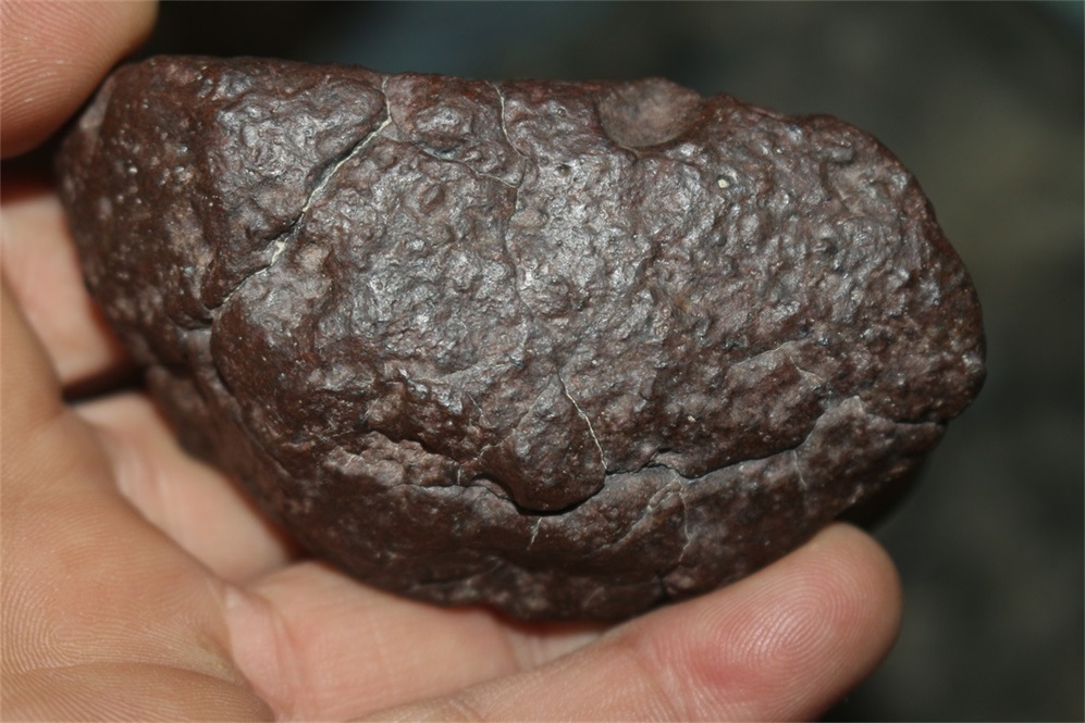 118.JPG