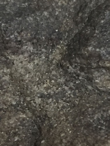 155EEAE5-0BC9-4D5F-815B-0D8D7442F895.jpeg