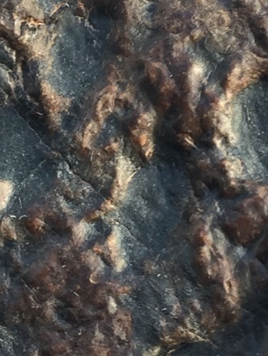 B3D4E3E4-764C-421D-9AD8-B438299472B9.jpeg