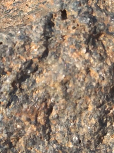 IMG_20200401_144611.jpg