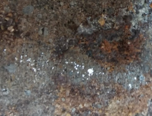 IMG_20200406_163150.jpg