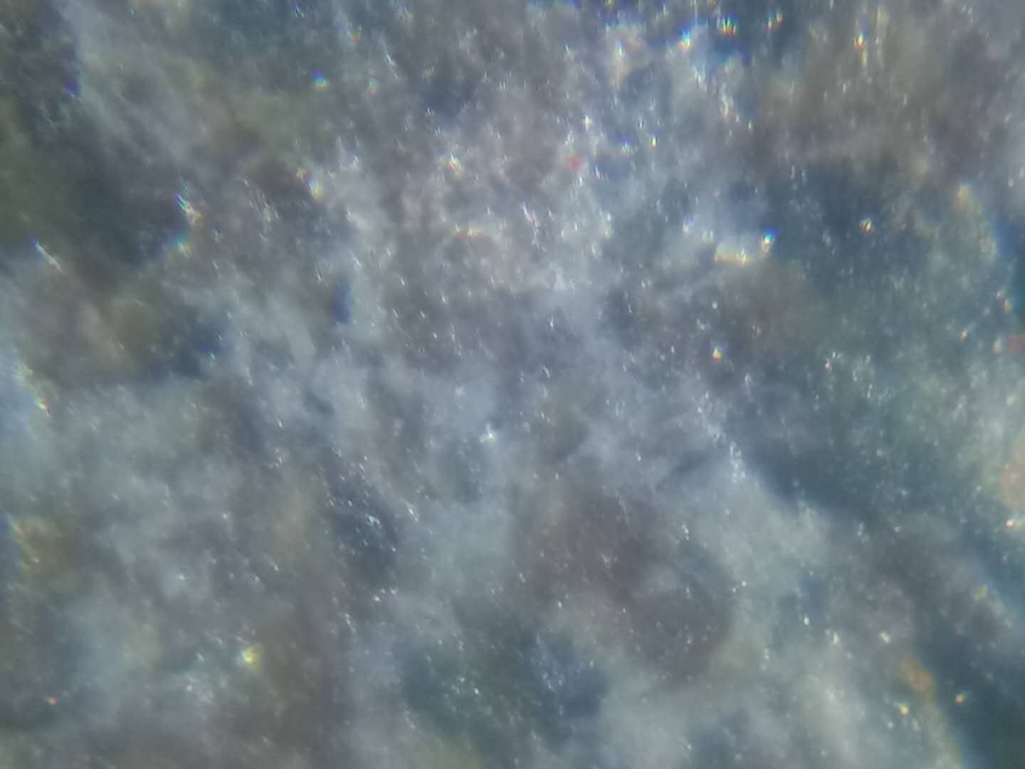 反射显微镜放大200