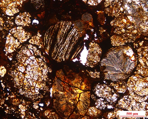 LL3-13040-6.jpg