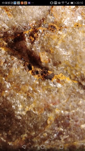 mmexport1597109096945.jpg