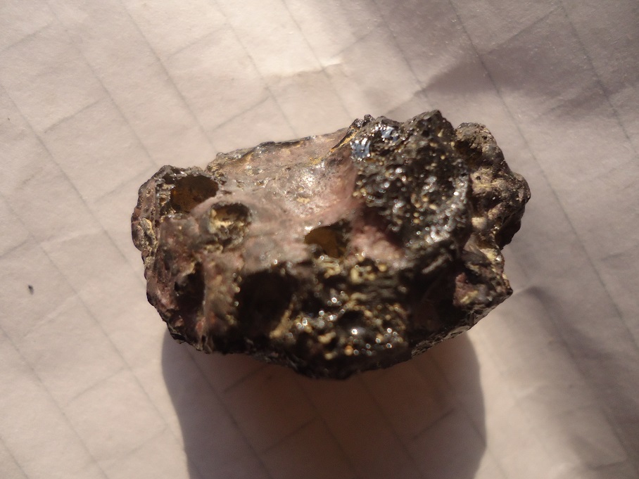 DSC05180.JPG