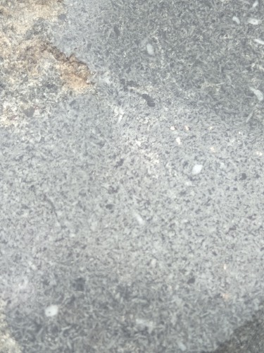 1600314011072.jpg
