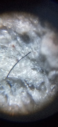 IMG20200917221518.jpg