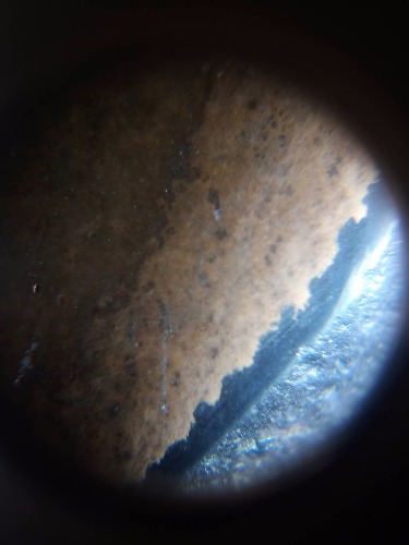 mmexport1600694279345.jpg