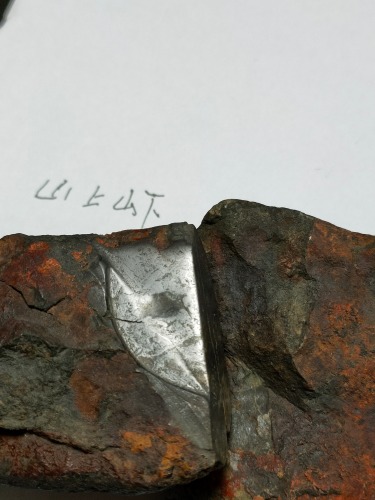 IMG20201015105334.jpg