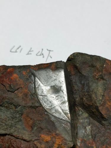 IMG20201015105342.jpg