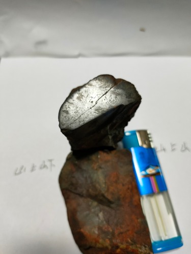 IMG20201015105041.jpg