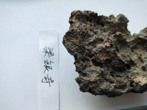 IMG20201023094003.jpg