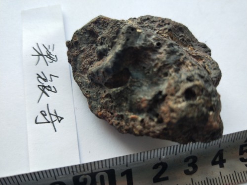 IMG20201023094154.jpg