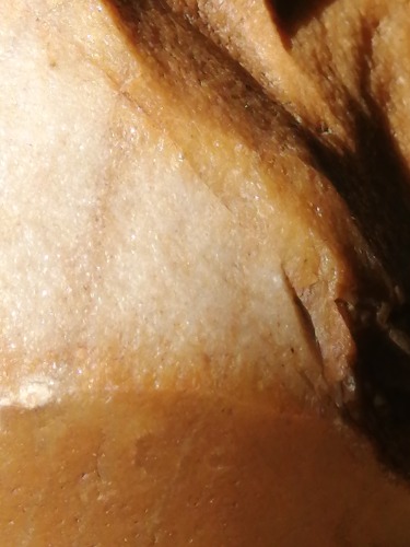 IMG_20201025_085522.jpg
