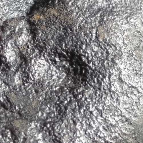 31_2000_550.jpg