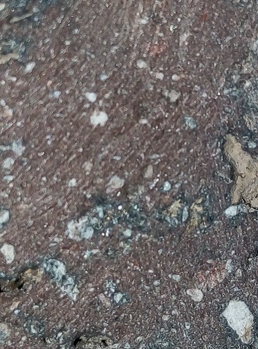 JPEG_20210111_170001_.jpg