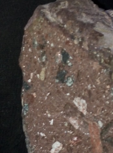 JPEG_20210111_171103_.jpg