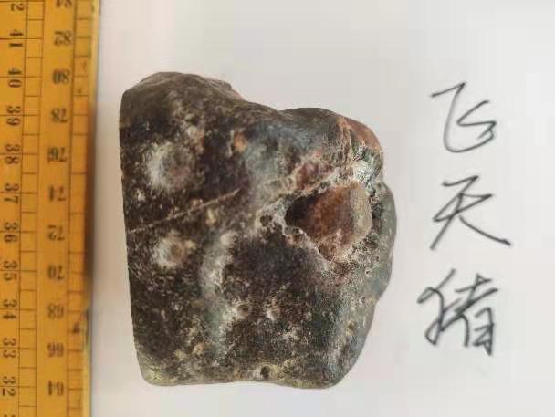 微信图片_20210112172420.jpg