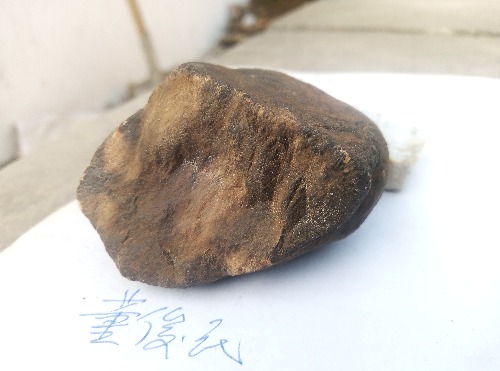 JPEG_20210122_115444_.jpg